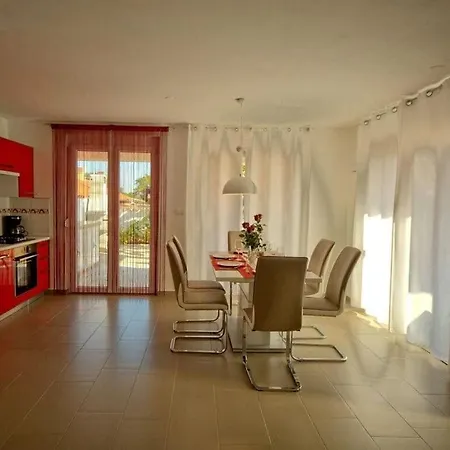 Paulonia Comfortable *