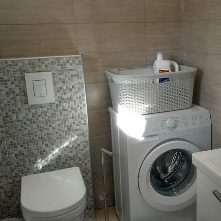 Paulonia Comfortable * פרוי